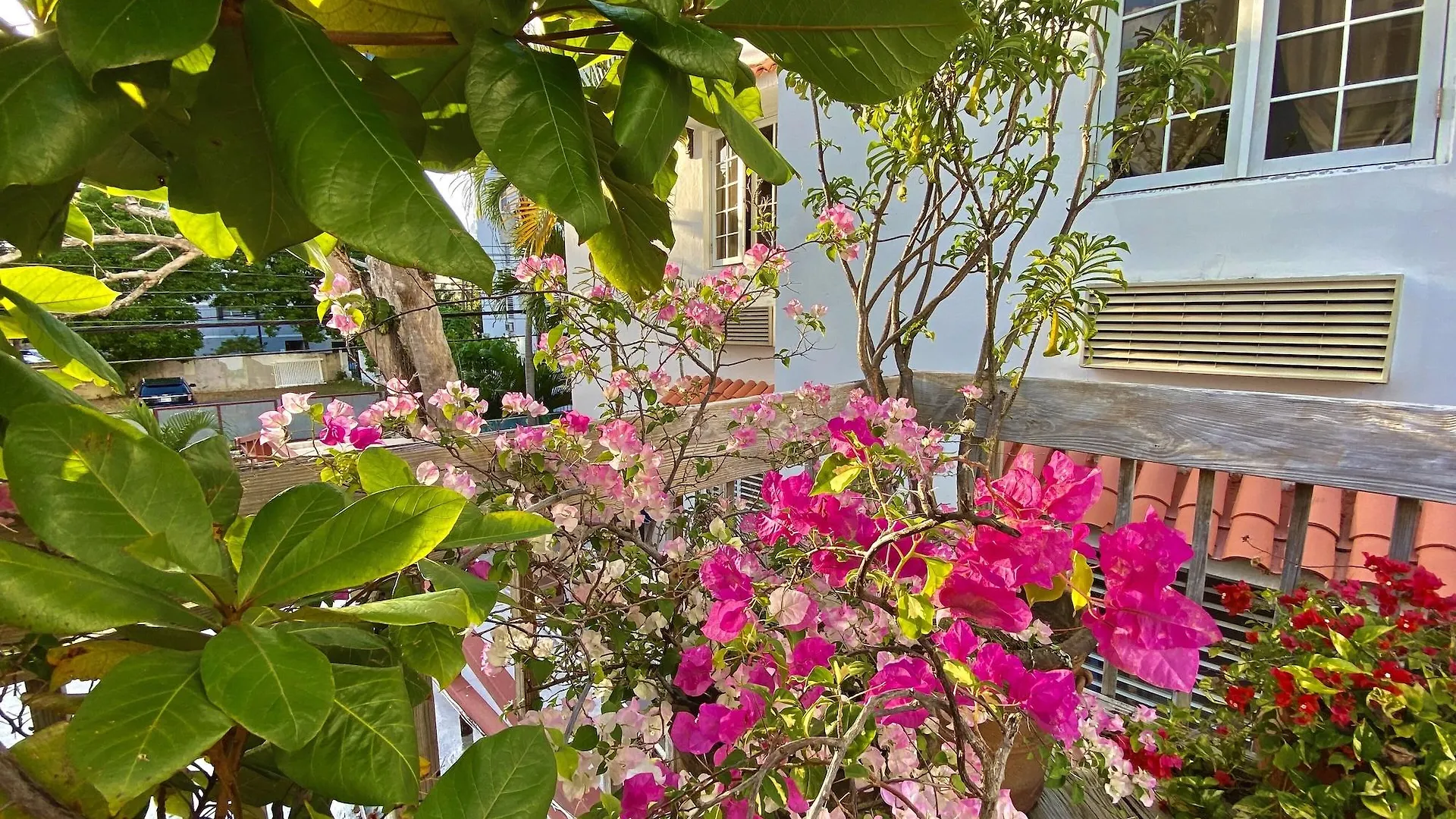 At Wind Chimes Boutique Hotel San Juan